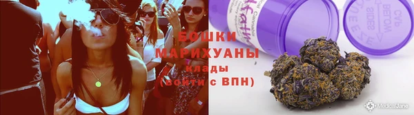 ГАЛЛЮЦИНОГЕННЫЕ ГРИБЫ Медвежьегорск