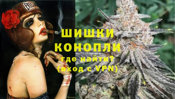 ГАЛЛЮЦИНОГЕННЫЕ ГРИБЫ Медвежьегорск