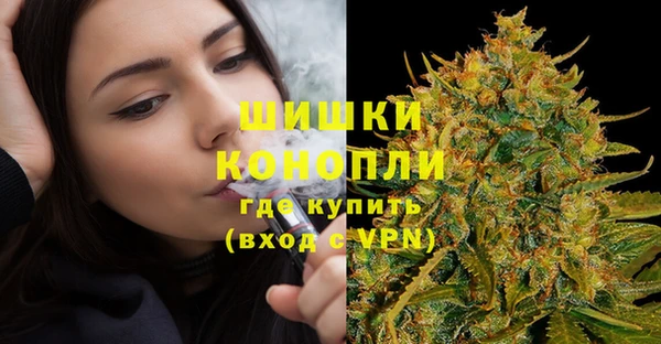 ГАЛЛЮЦИНОГЕННЫЕ ГРИБЫ Медвежьегорск