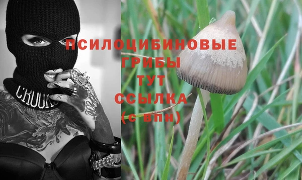 хмурый Михайловка