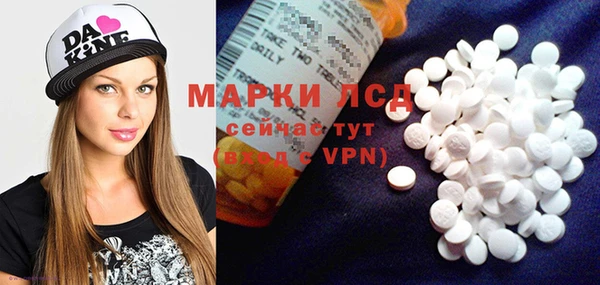 ГАЛЛЮЦИНОГЕННЫЕ ГРИБЫ Калининец