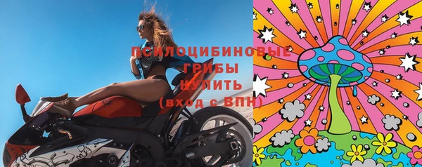 ГАЛЛЮЦИНОГЕННЫЕ ГРИБЫ Медвежьегорск