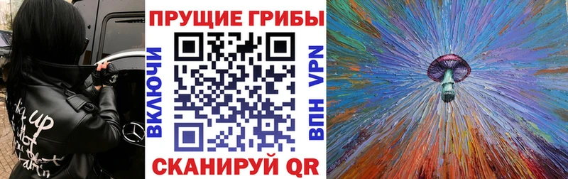 KRAKEN вход  Надым  Псилоцибиновые грибы мицелий  наркота 