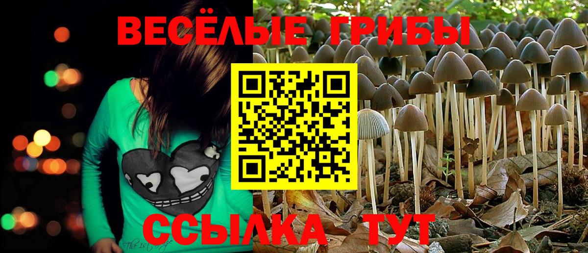 Псилоцибиновые грибы прущие грибы  Псилоцибиновые грибы Psilocybe  Вход с VPN  цены   Надым 